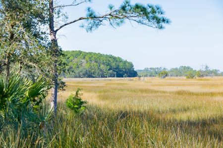 The Preserve at Pennys Creek by Brightwater Homes in Johns Island - photo 9 9
