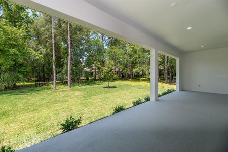 New construction Single-Family house 42 N Spend A Buck Drive, Inverness, FL 34453 - photo 31 31