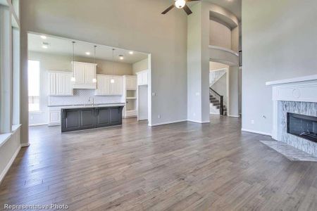 New construction Single-Family house 4217 Linear Drive, Celina, TX 75078 248H Plan- photo 19 19