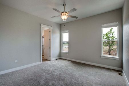 New construction Townhouse house 6248 Vernazza Way, Windsor, CO 80550 - photo 65 65
