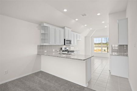 New construction Single-Family house 911 Eloise Lane, Cleburne, TX 76033 Concept 1638- photo 3 3