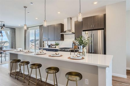 New construction Townhouse house 9695 Browns Peak Circle, Littleton, CO 80125 Panorama- photo 9 9