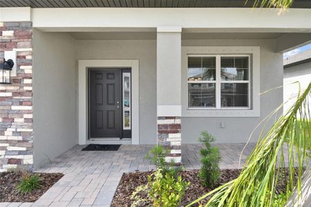 New construction Single-Family house 2921 Marine Grass Drive, Wimauma, FL 33598 Mira Lago- photo 3 3