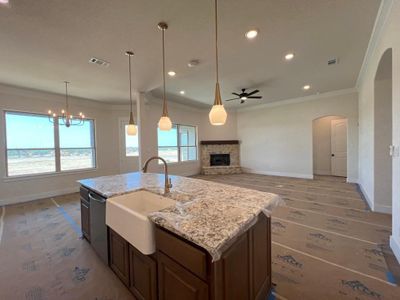 New construction Single-Family house 4117 Old Springtown Road, Weatherford, TX 76085 Bosque II- photo 10 10