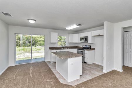 New construction Single-Family house 5241 Sw 155Th Loop, Ocala, FL 34473 - photo 22 22