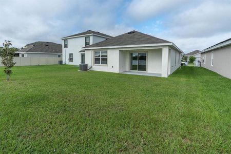 New construction Single-Family house 17070 Oval Rum Drive, Wimauma, FL 33598 - photo 4 4