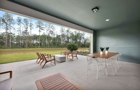 New construction Single-Family house 917 Rooster Hollow Way, Middleburg, FL 32068 - photo 45 45