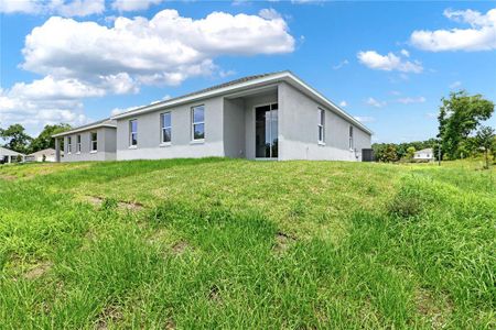 New construction Single-Family house 506 Ellie Court, Apopka, FL 32703 - photo 30 30