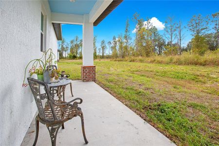 New construction Single-Family house 8003 Lake Nellie Road, Clermont, FL 34714 - photo 71 71