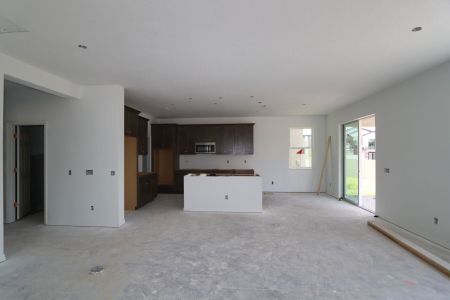 New construction Single-Family house 2463 Sunny Pebble Loop, Zephyrhills, FL 33540 Castellana- photo 82 82