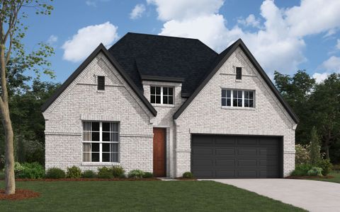 New construction Single-Family house 16812 Eastern Red Boulevard, Fort Worth, TX 76247 - photo 3 3