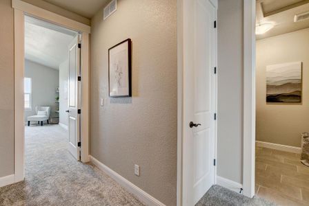 New construction Townhouse house 6248 Vernazza Way, Windsor, CO 80550 - photo 27 27