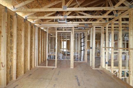 New construction Single-Family house 12383 Hilltop Farms Drive, Dade City, FL 33525 Malibu- photo 40 40