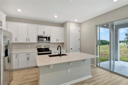 New construction Single-Family house 909 Wekiva Ridge Drive, Mount Dora, FL 32757 Tourmaline- photo 7 7