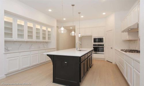 New construction Single-Family house 247 Monte Carlo Lane, Montgomery, TX 77316 Panamera Plan- photo 8 8