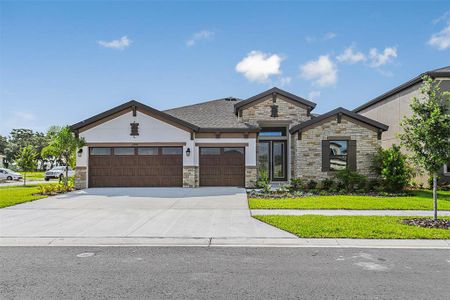 New construction Single-Family house 13172 Wellspring Drive, Lithia, FL 33547 Bayshore I- photo 0