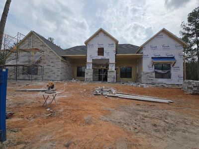 New construction Single-Family house 7451 High Meadow Ridge Drive, Montgomery, TX 77316 - photo 10 10