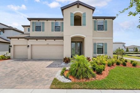 New construction Single-Family house 12854 Boggy Creek Drive, Riverview, FL 33579 - photo 0 0