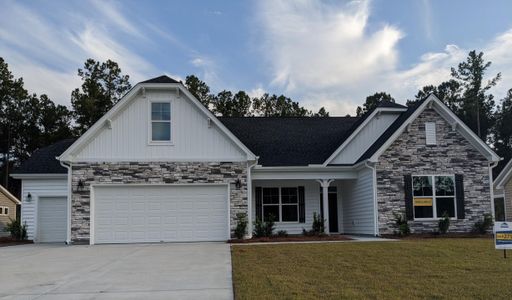 New construction Single-Family house 168 Huguenot Trail, Huger, SC 29450 - photo 0