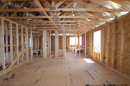 New construction Single-Family house 32556 Sapna Chime Drive, Wesley Chapel, FL 33545 Dali- photo 39 39
