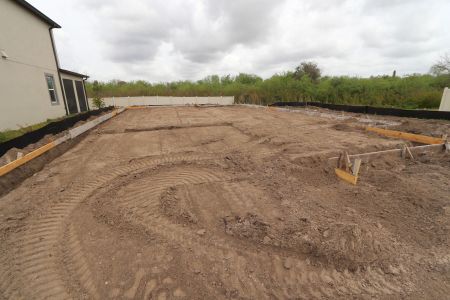 New construction Single-Family house 38157 Cobble Creek Boulevard, Zephyrhills, FL 33540 Picasso- photo 2 2