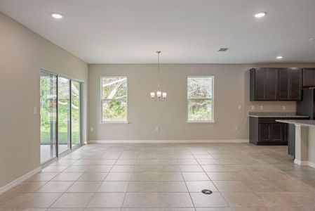 New construction Single-Family house 14055 Spring Hill Drive, Spring Hill, FL 34609 - photo 50 50
