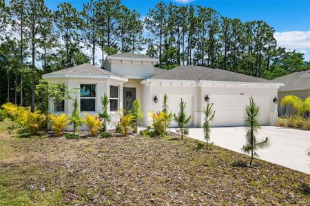 New construction Single-Family house 2909 Gator Crossing Place, New Port Richey, FL 34655 - photo 5 5