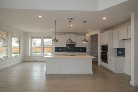 New construction Single-Family house 5007 Everly Terrace;, San Antonio, TX 78263 - photo 7 7