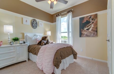 New construction Single-Family house 1026 Sweetroot Road, New Braunfels, TX 78130 - photo 5 5