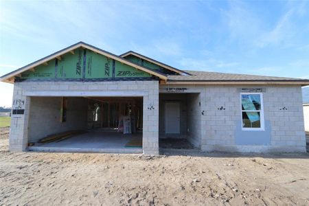 New construction Single-Family house 5269 Patano Loop, Palmetto, FL 34221 - photo 0