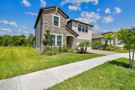 New construction Single-Family house 21622 Violet Periwinkle Drive, Land O' Lakes, FL 34637 - photo 2 2