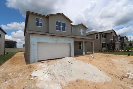 New construction Single-Family house 38433 Pindos Drive, Dade City, FL 33525 Mira Lago- photo 13 13