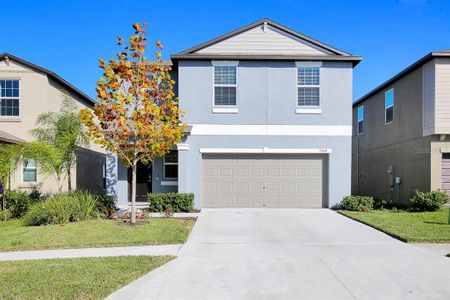 New construction Single-Family house 9908 Spanish Lime Court, Riverview, FL 33578 - photo
