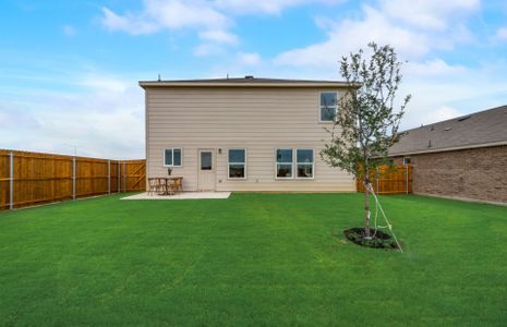 New construction Single-Family house 1715 Palo Blanco Drive, Forney, TX 75126 Mesilla- photo 22 22