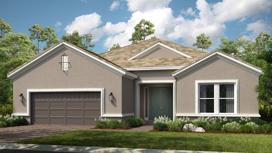 New construction Single-Family house Pallazio, 11140 Wicker Park Place, Palmetto, FL 34221 - photo