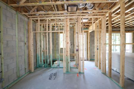 New construction Single-Family house 7754 Hemlock Seed Drive, Wesley Chapel, FL 33545 Sonoma II- photo 13 13