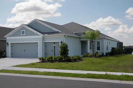 New construction Single-Family house 4406 Rustling Pnes Terrace, Parrish, FL 34219 - photo 0