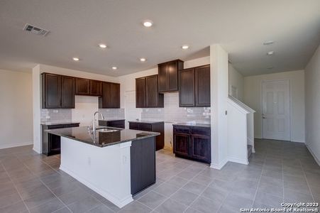 New construction Single-Family house 13115 Lorena Ochoa, San Antonio, TX 78221 - photo 28 28