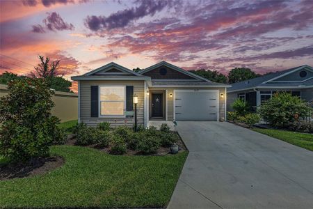 New construction Single-Family house 3537 Jolene Place, The Villages, FL 32163 - photo 0 0