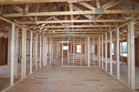 New construction Single-Family house 31801 Sapna Chime Drive, Wesley Chapel, FL 33545 Alenza- photo 12 12