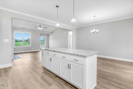 New construction Single-Family house 9100 Raccoon Drive, Middlesex, NC 27557 - photo 17 17