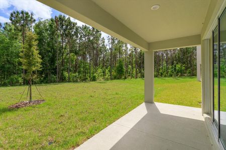 New construction Single-Family house 594 Via Bella Court, Howey-in-the-Hills, FL 34737 Biscayne- photo 26 26