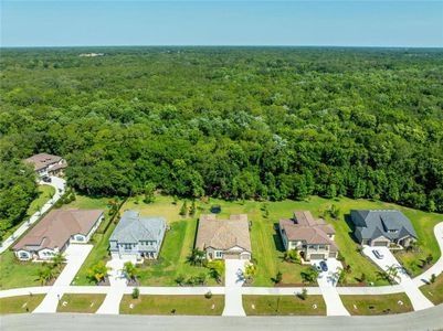 New construction Single-Family house 18416 Belfair Glen Place, Lutz, FL 33559 - photo 18 18