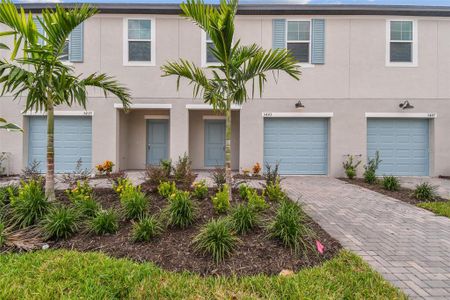 New construction Townhouse house 5443 Tripoli Drive, Palmetto, FL 34221 Alexander - Townhomes- photo 0