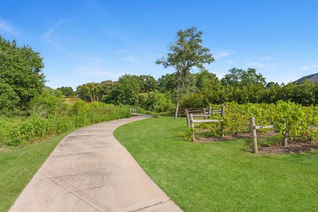 New construction Single-Family house 10 Hawthorn Cove, Fulshear, TX 77441 - photo 24 24