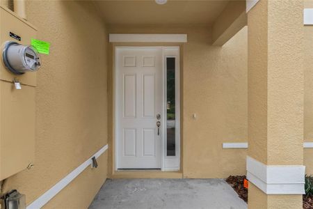New construction Townhouse house 1363 Pacific Road, Poinciana, FL 34759 - photo 33 33