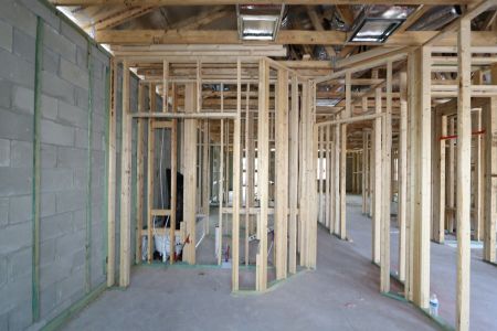 New construction Single-Family house 32568 Sapna Chime Drive, Wesley Chapel, FL 33545 Barcello- photo 21 21
