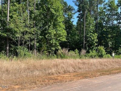 New construction Single-Family house 111 Gaines Trail, Pittsboro, NC 27312 - photo 11 11