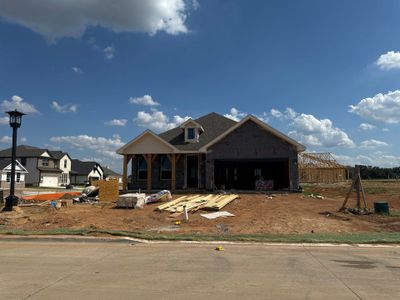 New construction Single-Family house 1252 Comal Lane, Springtown, TX 76082 Havasu III- photo 3 3