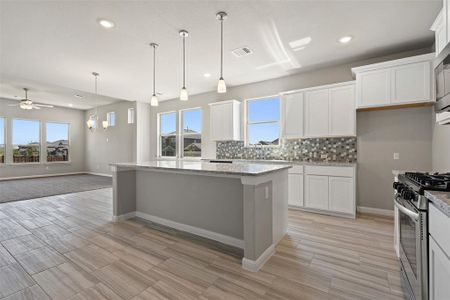 New construction Single-Family house 221 Comet Pointe Dr, Georgetown, TX 78628 Trenton MR- photo 9 9